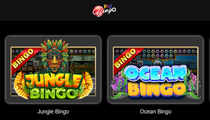 247Casino Bingo Games