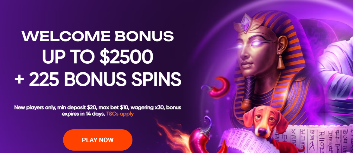 Casino Promotions